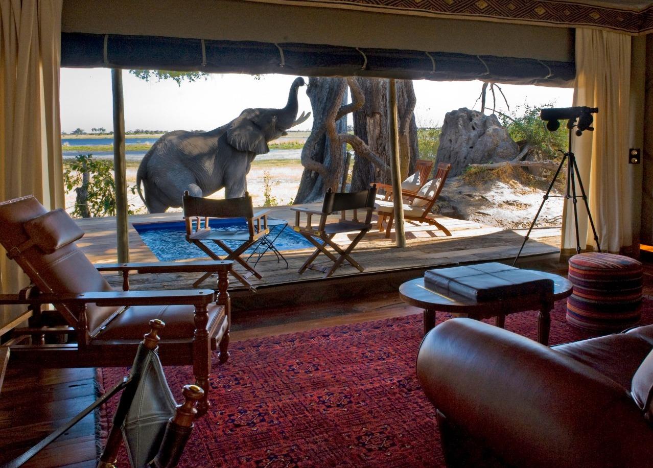 Best of South Africa & Botswana Luxury African Safari, Victoria Falls
