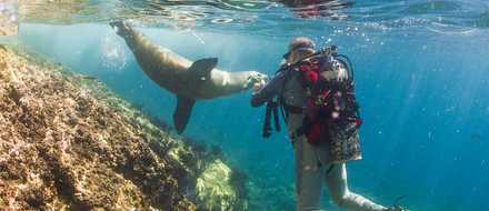 Galapagos Islands Wildlife Tour Scuba Diving Tortoises Sea Lions