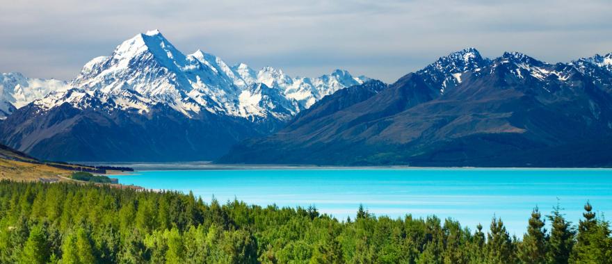 New Zealand Tour: Wineries, Maori Tribe & Pristine Nature ...