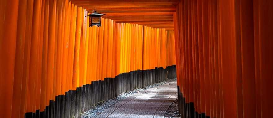 Fushimi Inari Taisha shrine in Kyoto, Japan. Fushimi Inari Taisha shrine in Kyoto, Japan.