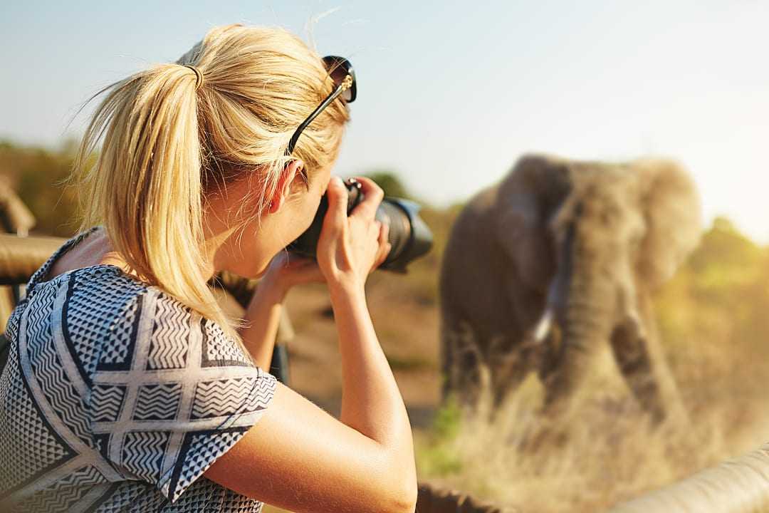 Woman taking a photo of an elephant while on a photographic safari in Africa