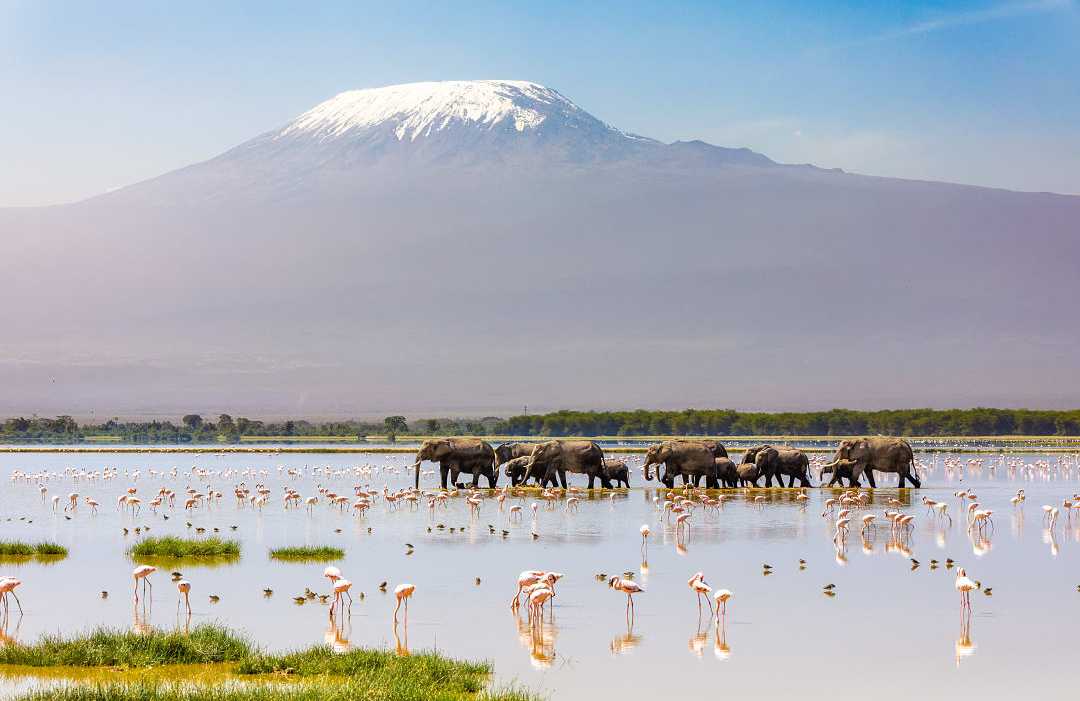 View of Mount of Kilimanjaro from Amboseli National Park in Kenya View of Mount of Kilimanjaro from Amboseli National Park in Kenya