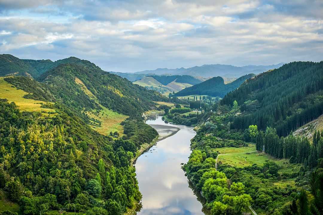 Lush green countryside along the Whanganui River in New Zealand