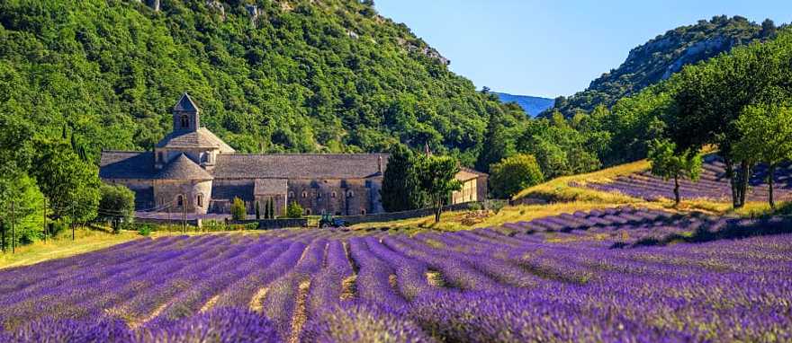 Abbaye de Senanque in Gordes, France Lavender fields surrounding Abbaye de Senanque in Gordes, France