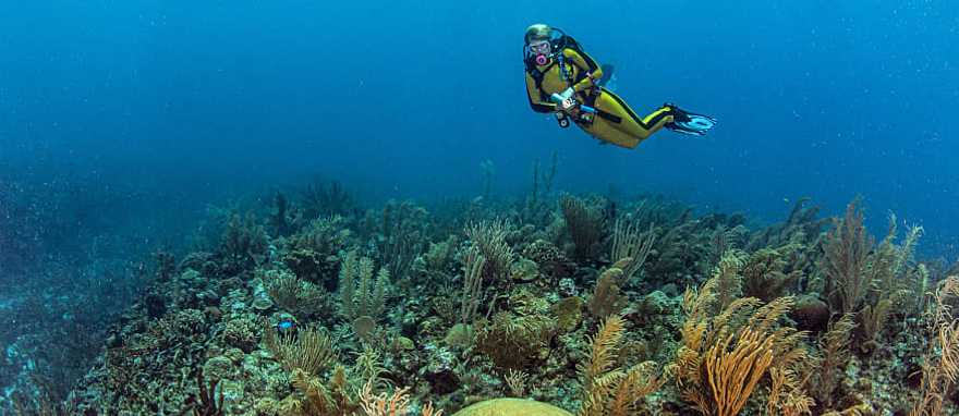 Great Blue Hole in Belize Scuba diving the Great Blue Hole in Belize