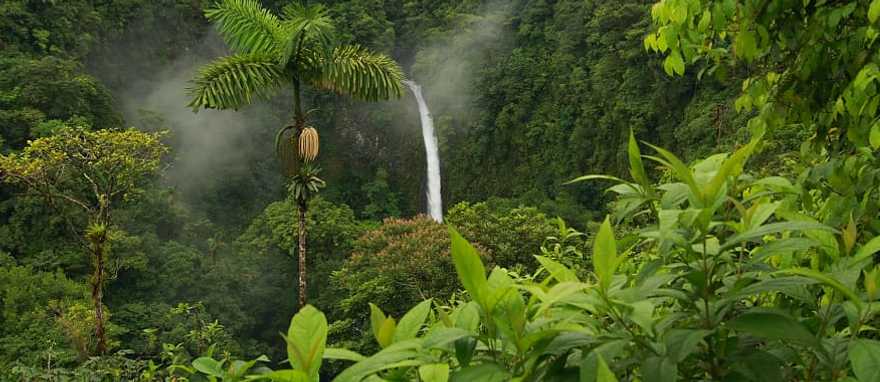 Enjoy beautiful views of the enchanting La Fortuna Falls Enjoy beautiful views of the enchanting La Fortuna Falls