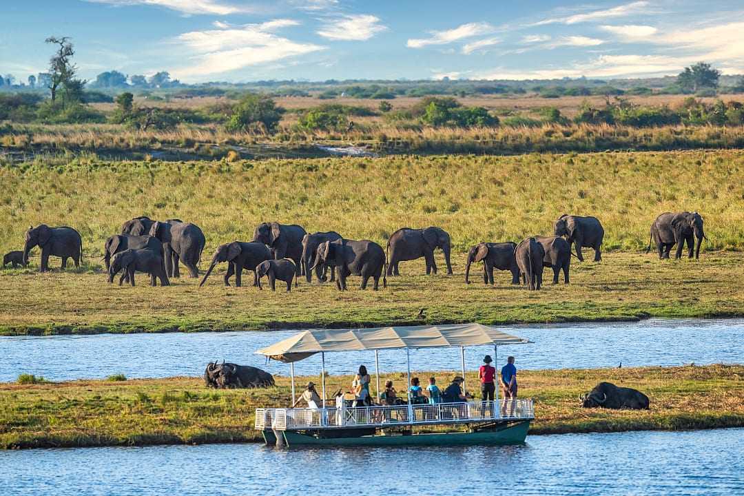 Safari tourist in a boat watching a heard of elephants in Chobe National Park, Botswana