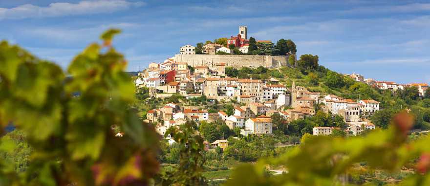 Vineyards surrounding hilltop village of Motovun, Croatia Vineyards surrounding hilltop village of Motovun, Croatia