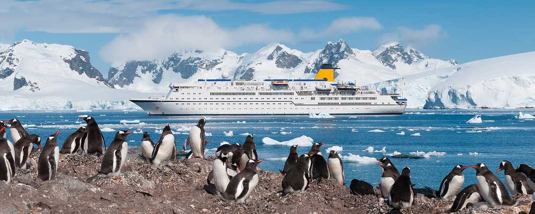 Best Antarctica Cruises, Tours, And Vacations 2024-2025 | Zicasso