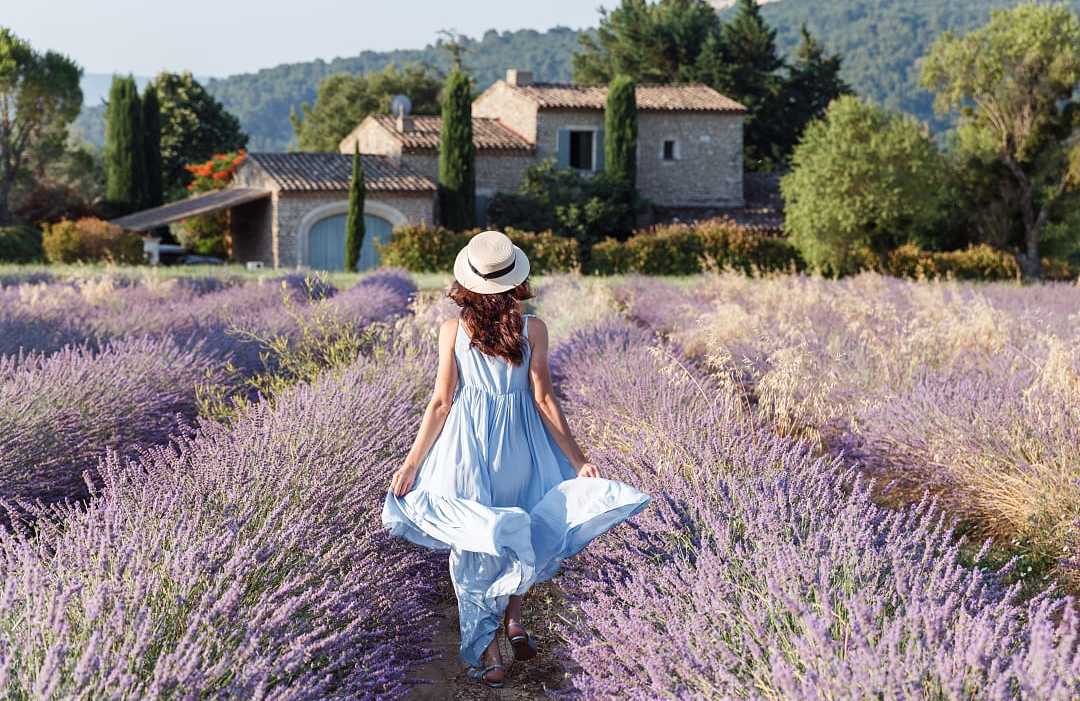 Luberon Region in France Woman in blue dress walking through a lavender field in Luberon, France, with rustic stone house behind
