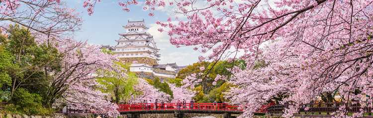 Japan Tours Vacation Packages 2022 2023 Zicasso