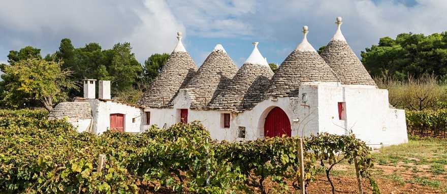 Vineyard with trulli houses in Alberobello, Puglia Region, Italy Vineyard with trulli houses in Alberobello, Puglia Region, Italy