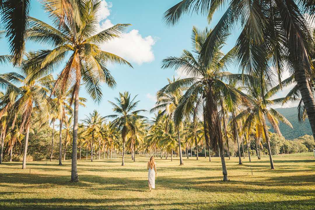 Tropical beach in Australia