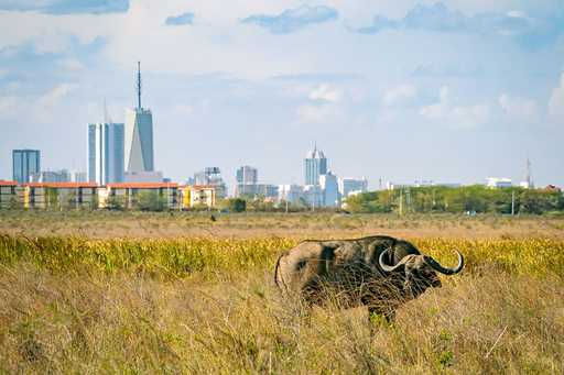 Top 10 Things To See And Do In Nairobi, Kenya 