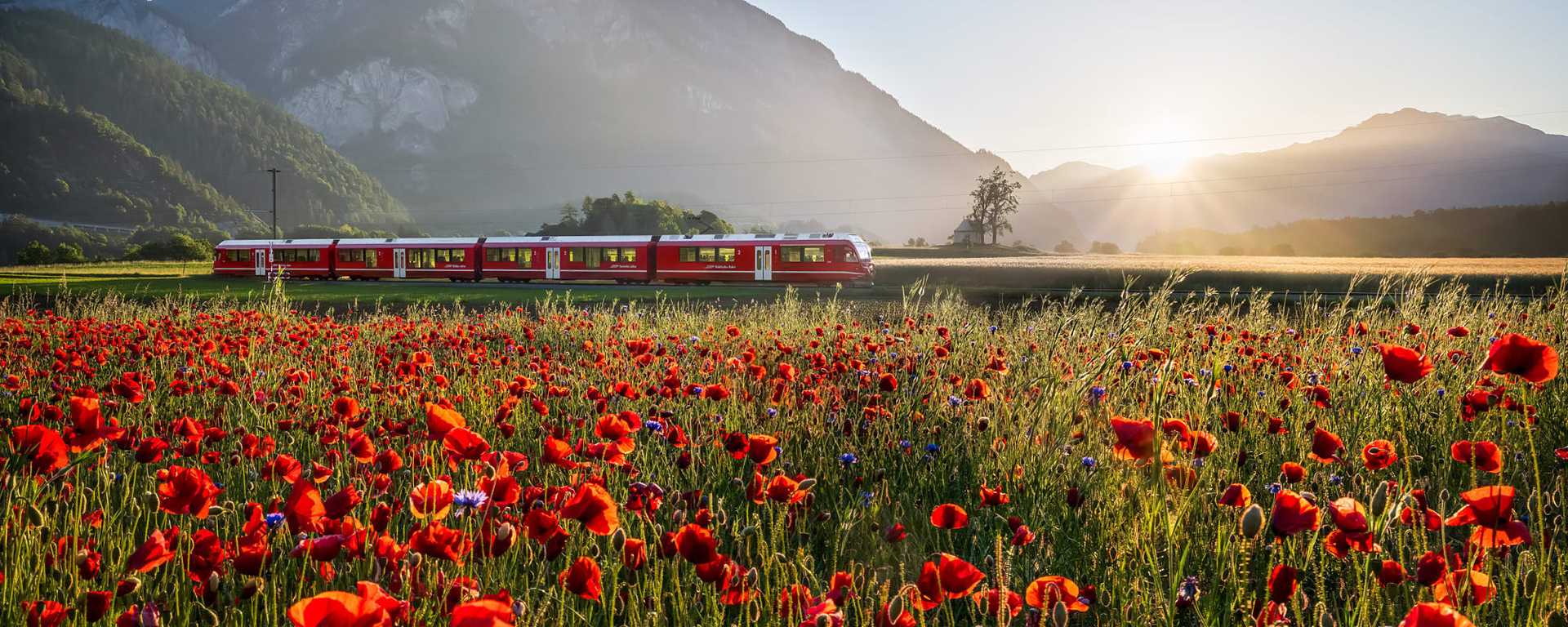 Photo courtesy of: Switzerland Tourism Photo courtesy of: Switzerland Tourism