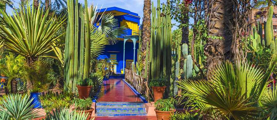 Le Jardin Majorelle, amazing tropical garden in Marrakech, Morocco. Le Jardin Majorelle, amazing tropical garden in Marrakech, Morocco.