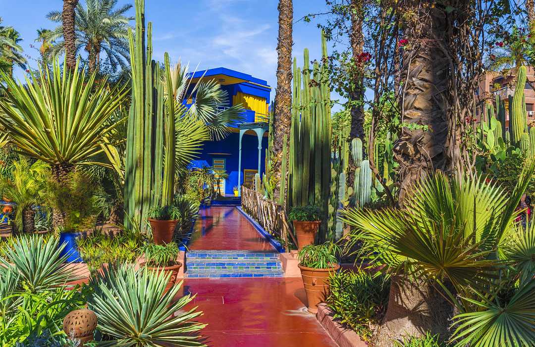 The Majorelle Garden in Marrakech, Morocco The Majorelle Garden in Marrakech, Morocco