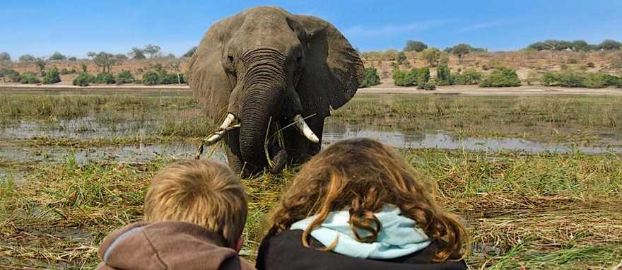 Two kids observing an elephant in Chobe National Park, Botswana Two kids observing an elephant in Chobe National Park, Botswana