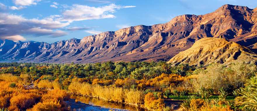 Morocco Cultural Tour: Marrakech, Essaouira & the High Atlas Mountains Lush oasis in the moroccan desert