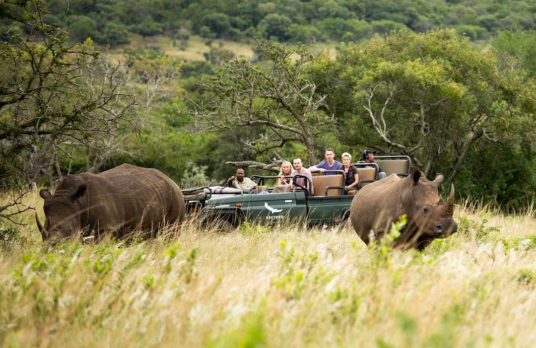 Phinda Private Game Reserve. Photo courtesy of South Africa Tourism Group of travelers observing two rhinos from a jeep while on african safari game drive in South Africa
