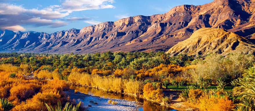 Date palms and blue river in Morocco Date palms and blue river in Morocco