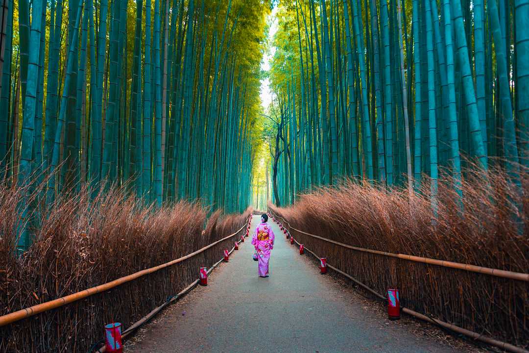 The Arashiyama bamboo forest in Kyoto