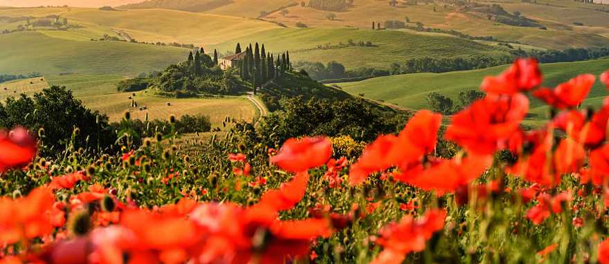 The magnificent landscape of the Val d'Orcia, located among the Tuscan hills, Italy The magnificent landscape of the Val d'Orcia, located among the Tuscan hills, Italy