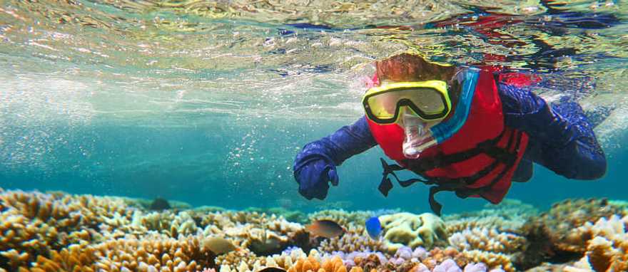 Great Barrier Reef, Australia Child snorkeling in the great barrier reef in the tropical north of Queensland, Australia