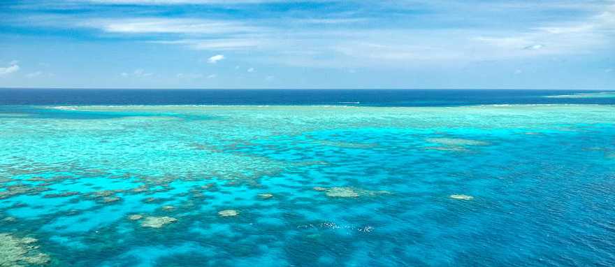 Great Barrier Reef, Australia, the world's largest coral reef located in the Pacific Ocean Great Barrier Reef, Australia, the world's largest coral reef located in the Pacific Ocean