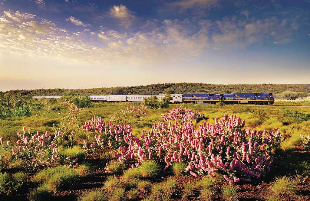 The Indian Pacific in Australia. Photo courtesy Great Southern Rail The Indian Pacific in Australia. Photo courtesy Great Southern Rail